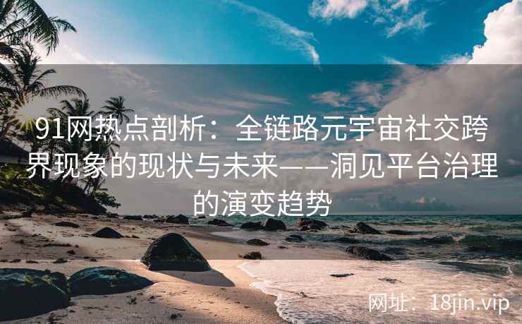 91网热点剖析：全链路元宇宙社交跨界现象的现状与未来——洞见平台治理的演变趋势