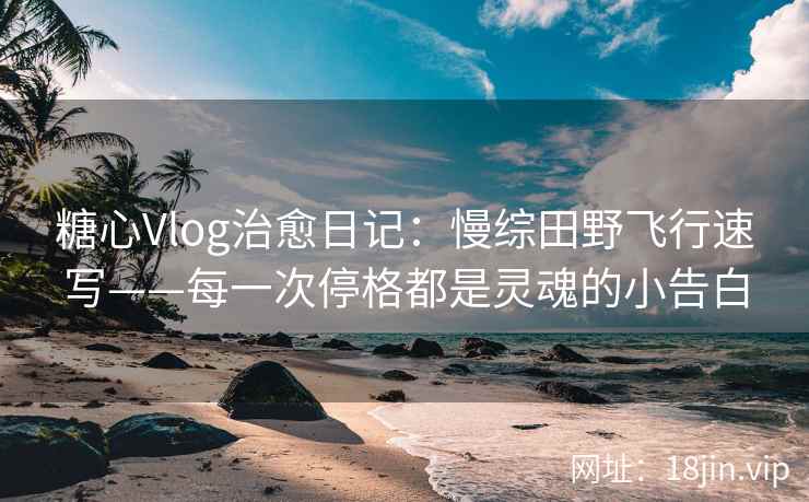 糖心Vlog治愈日记：慢综田野飞行速写——每一次停格都是灵魂的小告白
