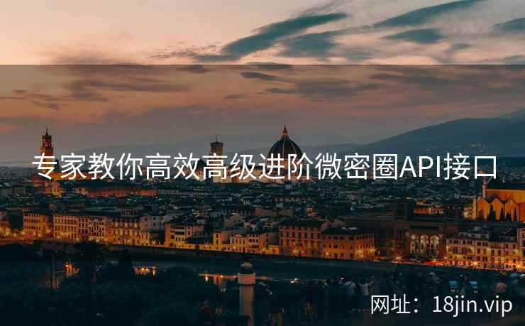 专家教你高效高级进阶微密圈API接口