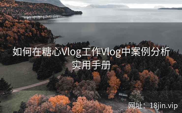 如何在糖心Vlog工作Vlog中案例分析实用手册