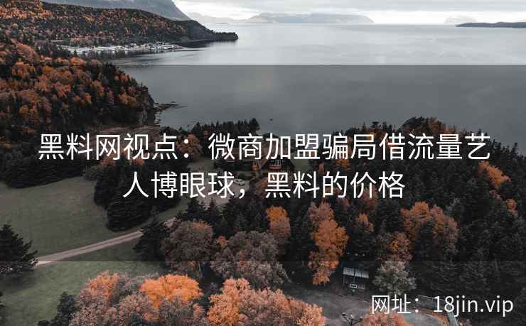 黑料网视点：微商加盟骗局借流量艺人博眼球，黑料的价格