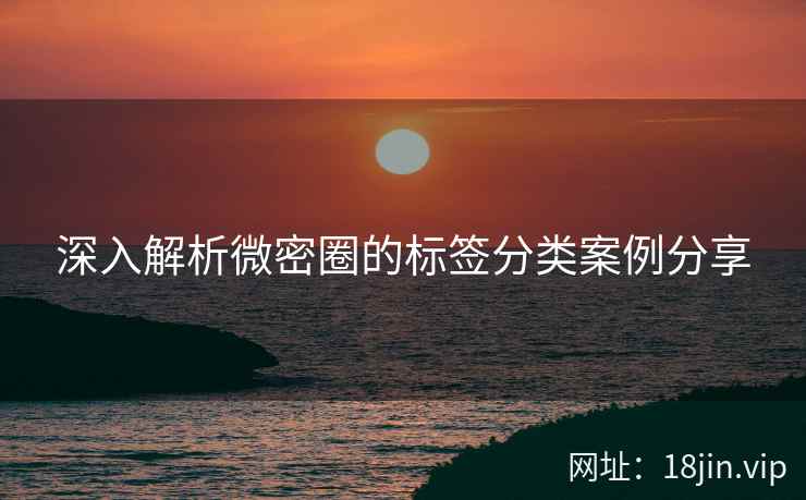 深入解析微密圈的标签分类案例分享