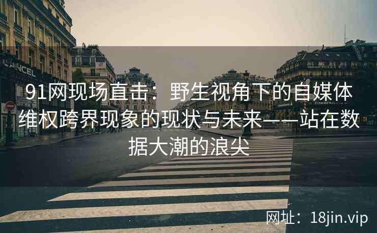 91网现场直击：野生视角下的自媒体维权跨界现象的现状与未来——站在数据大潮的浪尖