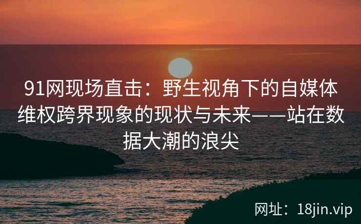 91网现场直击：野生视角下的自媒体维权跨界现象的现状与未来——站在数据大潮的浪尖