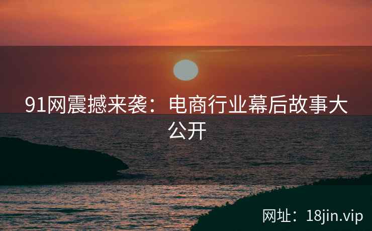 91网震撼来袭：电商行业幕后故事大公开